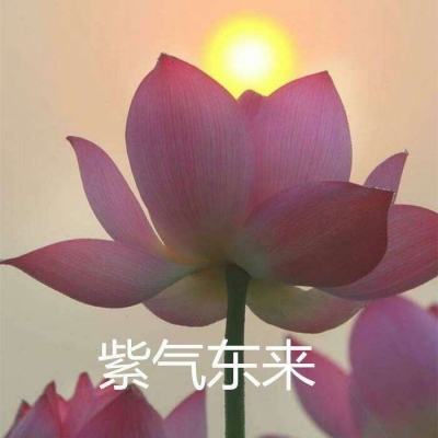 山海经上古异兽手游